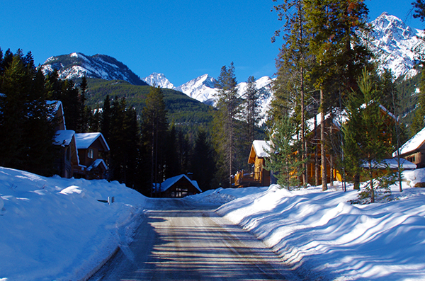 Buy Canadian attracting domestic buyers