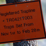 Why Moon’s Law needs a close review