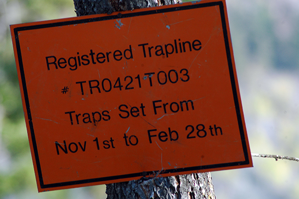 Why Moon’s Law needs a close review