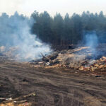 Fires force temporary closure of Wasa wood waste area