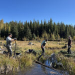 Protecting what matters: CVLCF supports water and wildlife