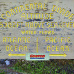 The Costco Experience