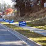 Proposed bylaw seeks to limit candidate signs volume
