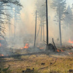 Two prescribed burns a go thanks to $190k grant
