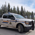 Check stop conducted with Police Dog Services