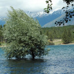 People urged to prepare for seasonal hazards