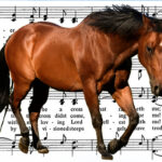 Joe Macdonald’s ‘Sugar’