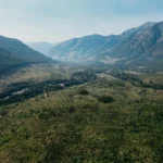 Forests, Water and Our Future: A Community Conversation