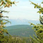 Perry Creek area to be included in Rockyview OCP