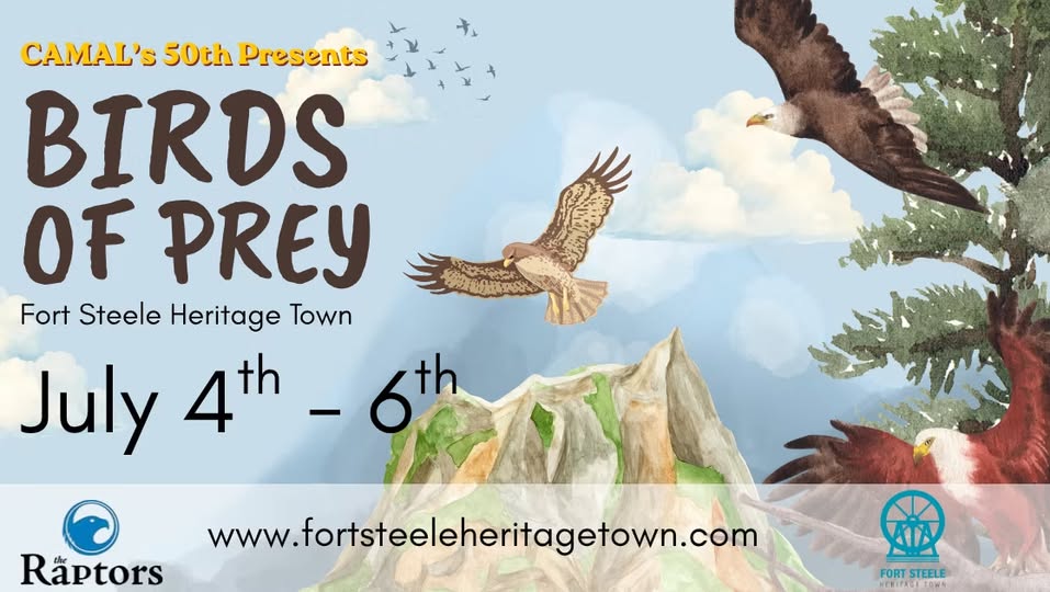 CAMAL’s 50th Presents – Birds of Prey