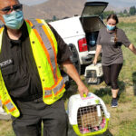 You might be ready for wildfires, but is your pet?