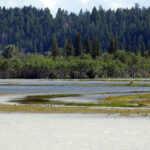 Flood warning for Kootenay River and tributaries