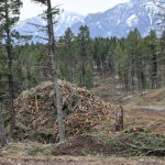 Category 3 open fire prohibition to be rescinded