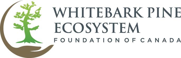 2026 Whitebark & Limber Pine Conference