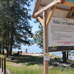 Reminder to keep dogs leashed during nesting season