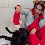 BC SPCA seeks animal lovers to lock-in for love
