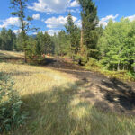 Firefighters respond to wildfire near Edgewater
