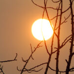 Smoke lingering in region’s south