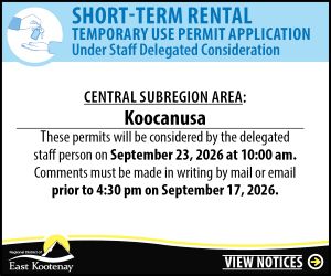 Short-Term Rental Temporary Use Permit delegated CENTRAL