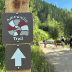 Trails Alliance reports Ammonite Trail is open