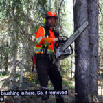 Factors that influence fire behaviour