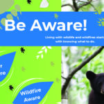 August 22 event aims to boost resident and visitor safety