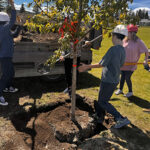 Grant helps Cranbrook add more trees and greenery