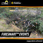 FireSmart events coming to Tie and Rosen lakes