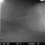 Police alerted after trout stolen from hatchery