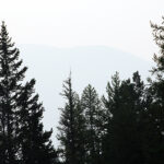 Wildfire smoke drifting back into region