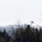 Air quality alert for Cranbrook, Kimberley and South Country