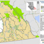 ORVs now prohibited on Crown land in Southeast Fire Centre