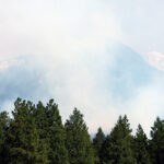 Could Cranbrook help prevent the next wildfire?