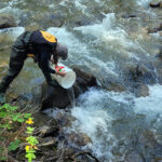 Local Conservation Fund accepting 2027 proposals