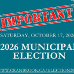 Make a voting plan for upcoming municipal election