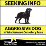 Aggressive dog reported in Windermere