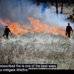 Culturally informed burn planned for Dry Gulch area