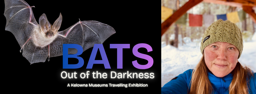 Bat Talk and Exhibit Showcase