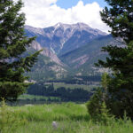 Ecosystem restoration burn planned for Wilmer area