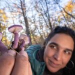 Wild & Scenic Film Festival to be in Invermere and online
