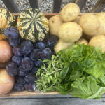 Harvest Haul launches at Cranbrook Food Innovation Centre
