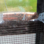 Stray round ends up in Fernie bedroom window