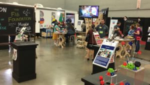 2017-03-06-PHOTO-00000016