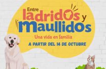 Entre ladridos y maullidos