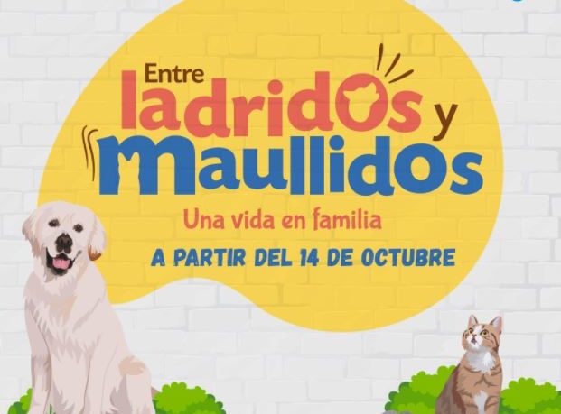 Entre ladridos y maullidos