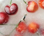 Despídete del verano, no de las cerezas, disfrútalas fuera de temporada