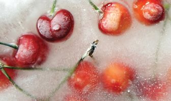 Despídete del verano, no de las cerezas, disfrútalas fuera de temporada cerezas
