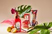 Bath & Body Works