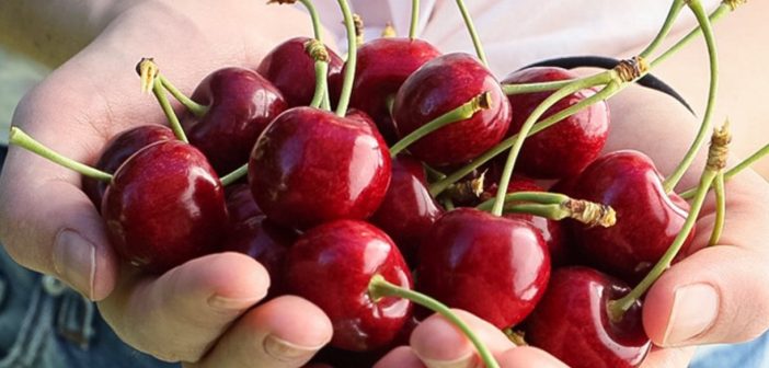 ¡Llegaron las Cerezas de Verano!