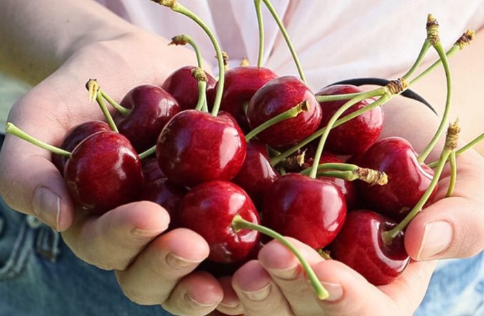 Cerezas de verano